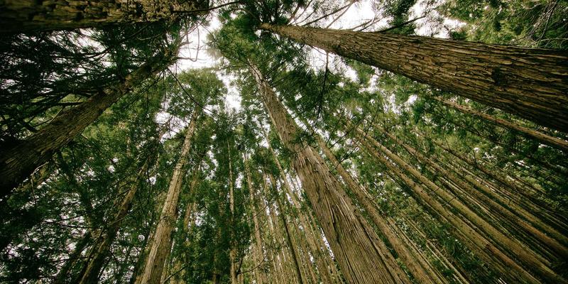 从实验室到市场：湖北高校产学研如何驱动IT设备与相机电脑硬件创新