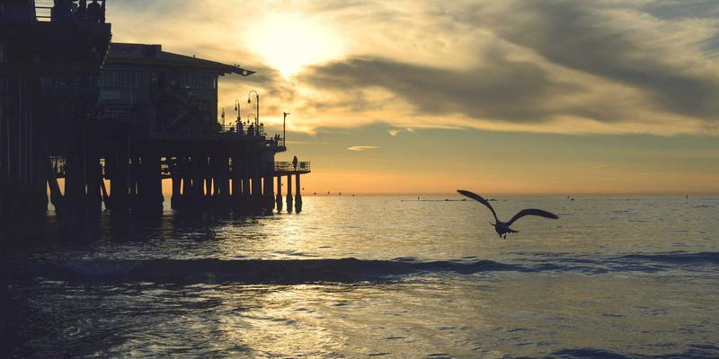 从手机到充电桩：湖北新能源基建如何借力智能电网与数码科技