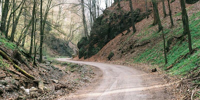 从相机到全产业链：湖北3C品牌攀升兄弟的崛起之路与IT设备启示录