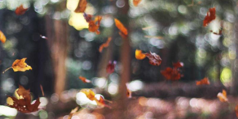 湖北3C35:解码湖北IT设备与智能终端市场的增长新引擎