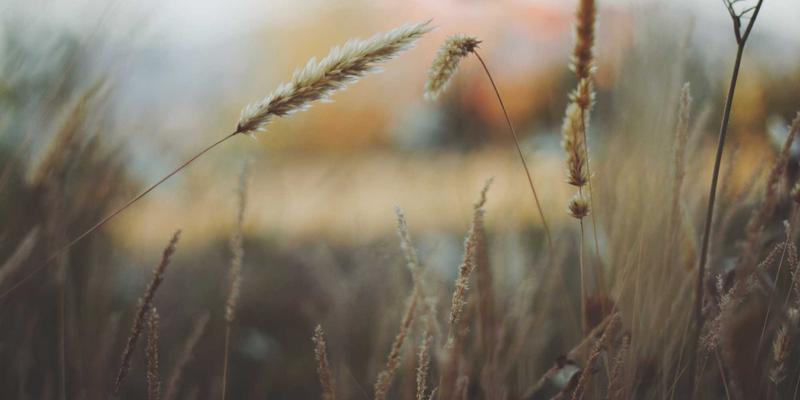 湖北3C4:一站式电脑、IT设备与相机采购解决方案