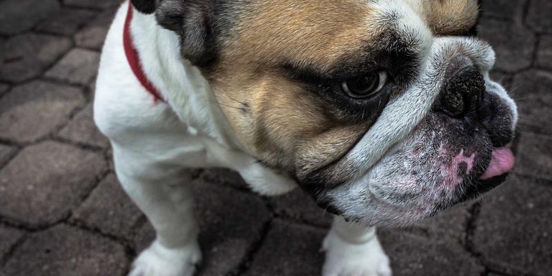 湖北3C67:解码湖北数码产品与办公设备的创新生态