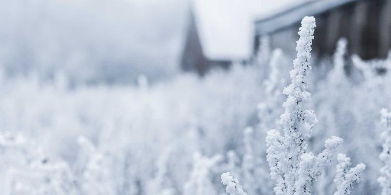 湖北3C产业新格局：聚焦武汉都市圈，打造手机与电脑核心零部件协同网络