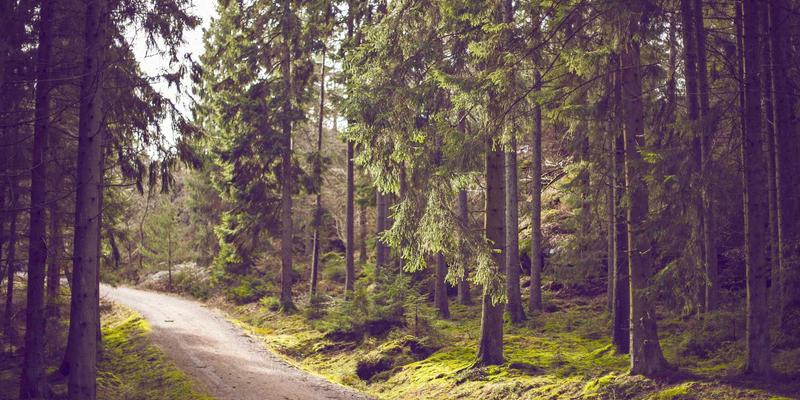 湖北3C产业新突破：高校科研团队引领柔性显示屏与折叠手机技术革命