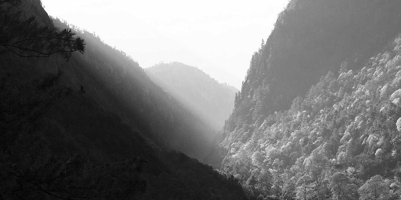 湖北数码商城维修指南：3C产品与IT设备维修避坑全攻略